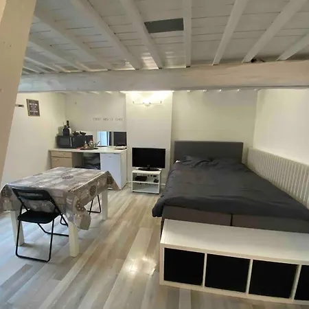 Duplex Les Petites Sources Apartment *